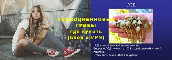 apvp Новозыбков