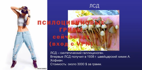 MDMA Няндома