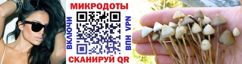 Купить закладки  Далматово  Галлюциногенные грибы мухоморы 